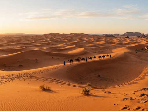 Meilleure voiture pour le désert en Algérie : notre guide pour rouler au Sahara